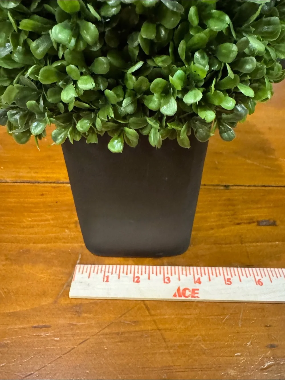 Faux Boxwood in brownish/black container